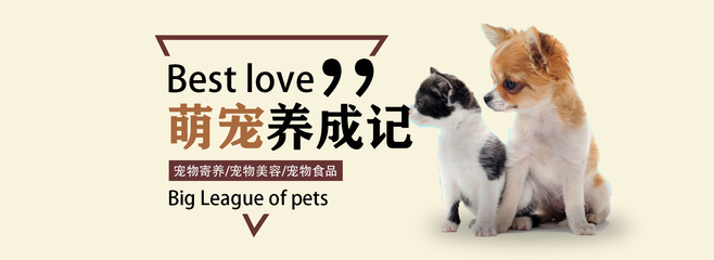 英雄联盟手游搬砖攻略